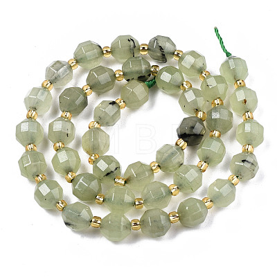 Natural Prehnite Beads Strands G-T131-78A-1