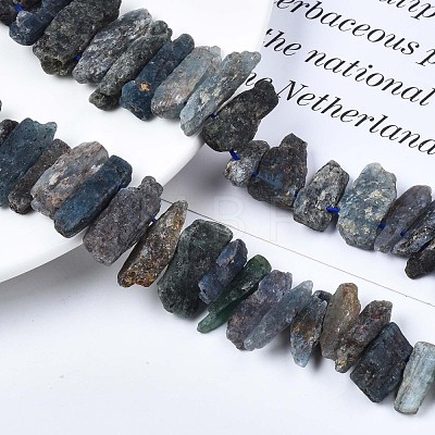 Natural Kyanite/Cyanite/Disthene Quartz Beads Strands G-R432-09-1