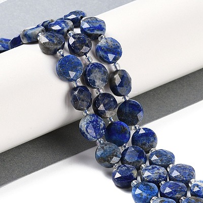 Natural Lapis Lazuli Beads Strands G-N342-16-1