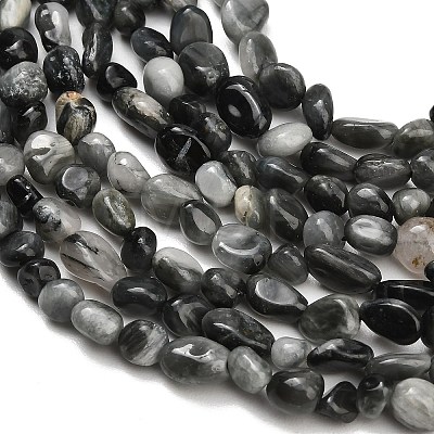 Natural Eagle Eye Stone Beads Strands G-D108-A02-04-1