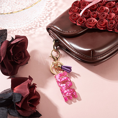 Alloy & Resin Tassel Keychainss AJEW-TADJ0001-20G-09-1