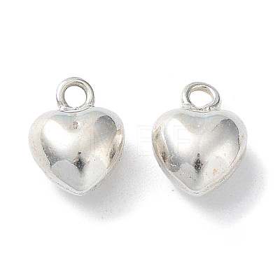 925 Sterling Silver Charms STER-H106-01C-S-1
