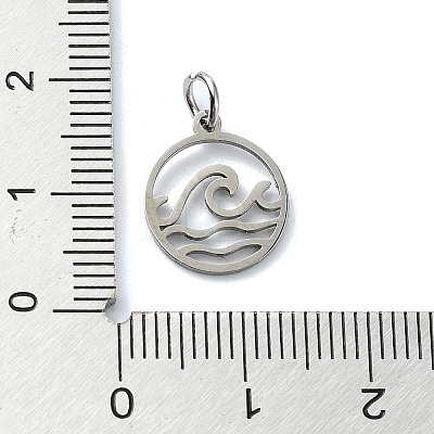 304 Stainless Steel Charms STAS-C097-63P-1