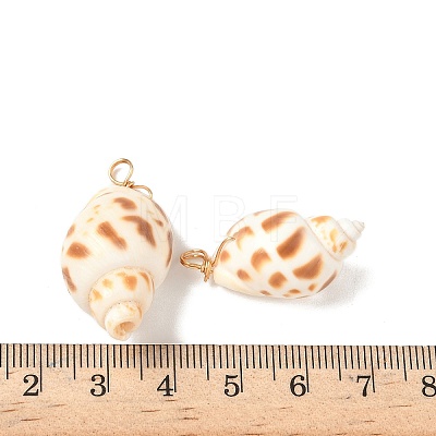 Natural Spiral Shell Pendants PALLOY-JF02949-1