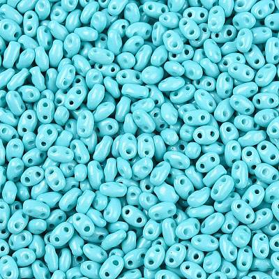 Baking Paint Glass Seed Beads SEED-T006-03H-1