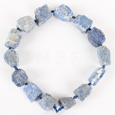 Natural Lapis Lazuli Bead Strands G-E240-01-1