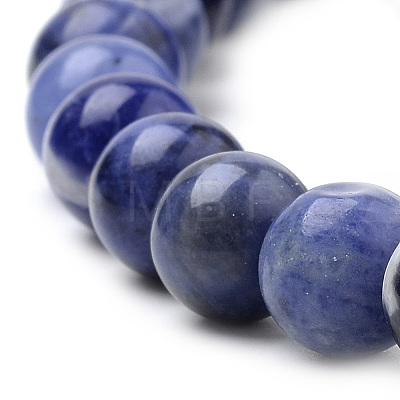 Natural South Africa Sodalite Beads Strands G-S259-35-10mm-1