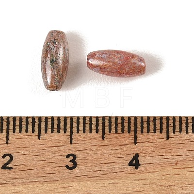 Baking Paint Glass Beads DGLA-G004-02B-1