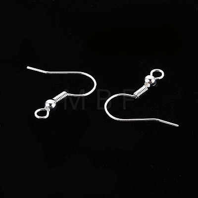 304 Stainless Steel Earring Hooks X-S057-42S-1