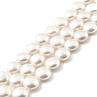Electroplated Shell Pearl Beads Strands BSHE-G027-04-1