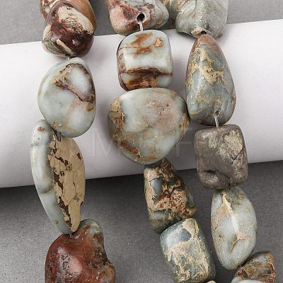 Natural Shoushan Stone Beads Strands G-D098-C05-1