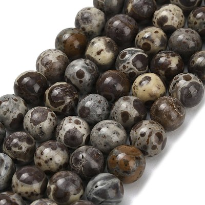 Natural Astroite Jasper Beads Strands G-F814-A01-8mm-1