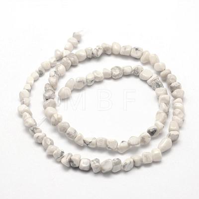 Natural Howlite Beads Strands G-F465-05-1