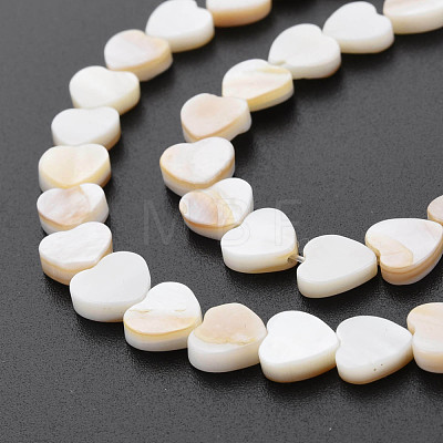 Natural Freshwater Shell Beads Strands X-SHEL-S276-70-1