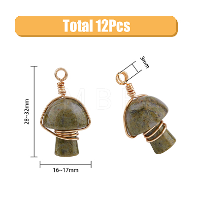 SUPERFINDINGS 12Pcs 6 Styles Natural & Synthetic Mixed Stone Copper Wire Wrapped Pendants FIND-FH0006-26-1