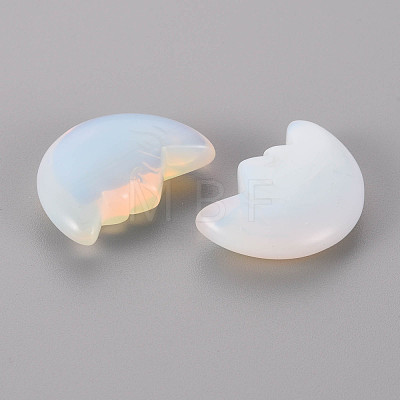 Opalite Beads G-T132-033-1