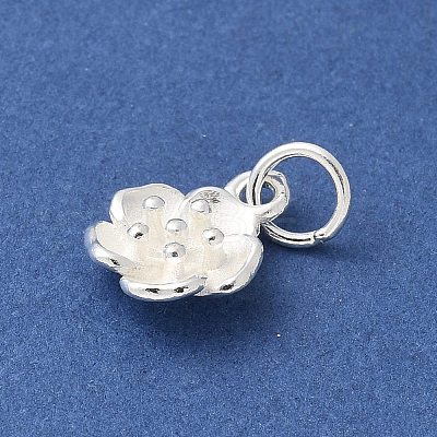 S925 Sterling Silver Charm STER-H115-11B-S-1