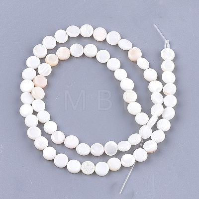 Freshwater Shell Beads Strands X-SHEL-S276-15B-1