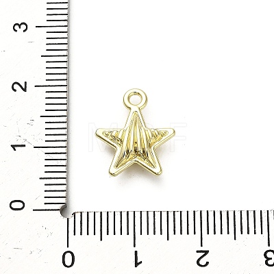 Alloy Pendants FIND-A051-01D-G-1