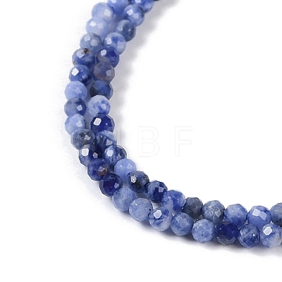 Natural Sodalite Beads Strands G-G139-A07-02-1