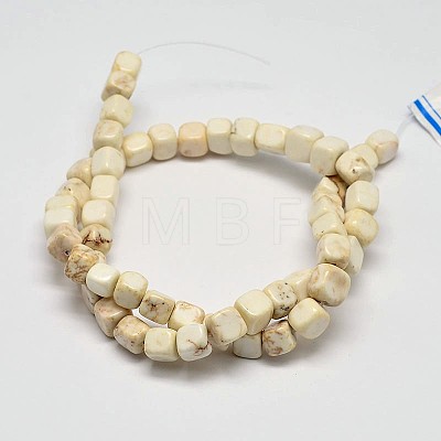 Cube Natural Magnesite Beads Strands G-M138-38-1