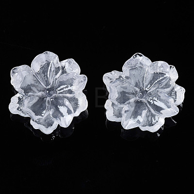 Resin Cabochons X-RESI-S364-46C-1