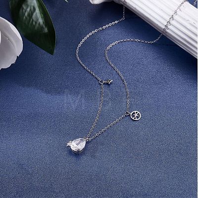 925 Sterling Silver Zircon Pendant Necklace 12 Constellation Pendant Necklace Jewelry Anniversary Birthday Gifts for Women Men JN1088L-1