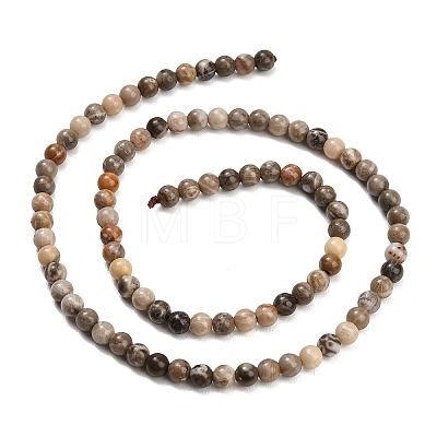 Natural Fossil Coral Beads Strands G-C288-A01-4mm-1