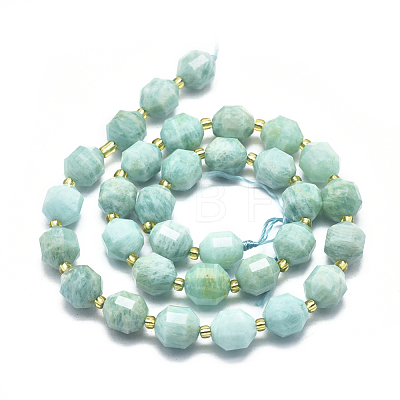Natural Amazonite Beads Strands G-K303-A07-10mm-1