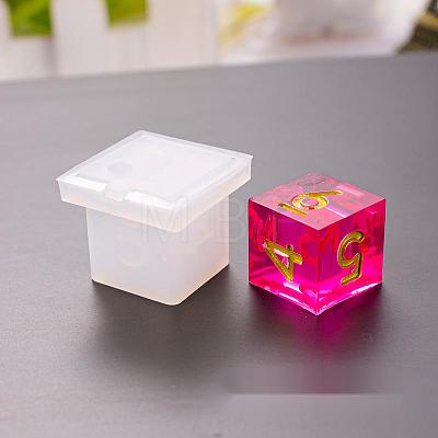 Silicone Dice Molds X-DIY-L021-22-1