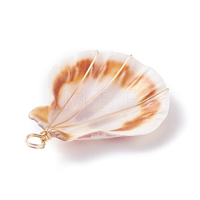 Natural Scallop Shell Pendants PALLOY-JF01209-1