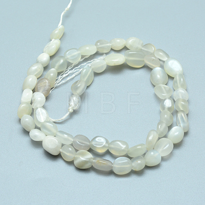 Natural Grey Moonstone Beads Strands X-G-D0002-B42-1