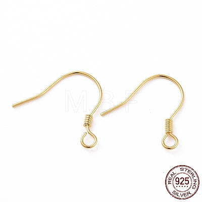 925 Sterling Silver Earring Hooks STER-D035-22G-1