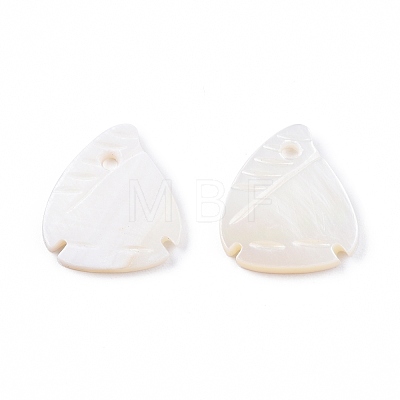 Natural Freshwater Shell Charms SHEL-N026-202-1