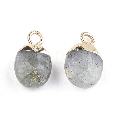Electroplate Natural Labradorite Charms G-S344-09D-1