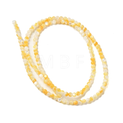 Natural Yellow Shell Beads Strands SHEL-M021-03A-1