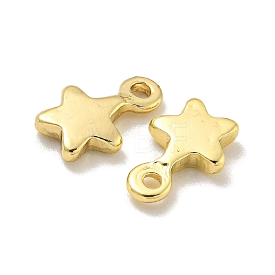 Rack Plating Brass Charms KKB-L075-013LG-01-1