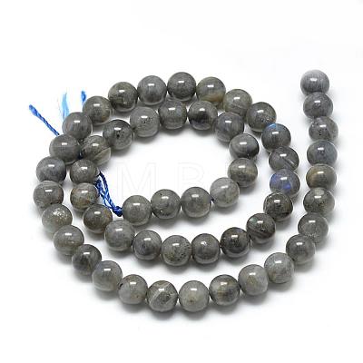 Natural Labradorite Beads Strands G-R446-10mm-14-1