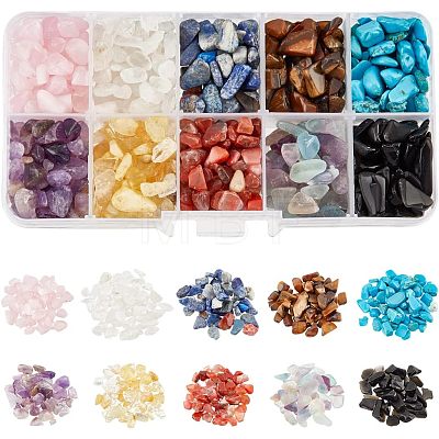 10 Styles Natural Mixed Gemstone Chip Beads G-NB0003-97-1