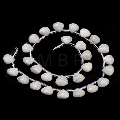 Natural Rainbow Moonstone Beads Strands G-C292-A01-01-1