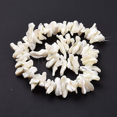 Natural Trochid Shell Beads Strands SSHEL-G023-05B-1