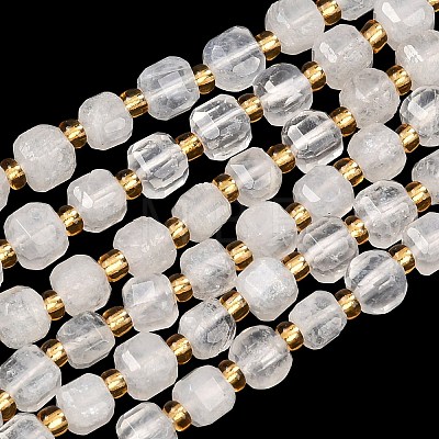 Natural Rainbow Moonstone Beads Strands G-Z147-A01-01-1