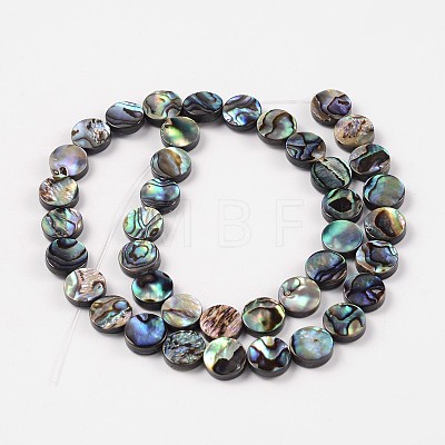Natural Abalone Shell/Paua Shell Beads Strands X-SSHEL-G003-5-10x3mm-1