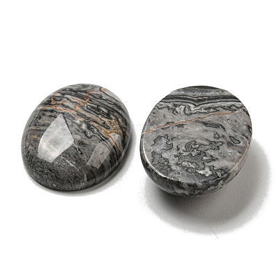 Natural Map Stone Cabochons G-C115-01B-48-1