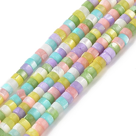 Natural Trochid Shell/Trochus Shell Beads Strands BSHE-H018-04-1