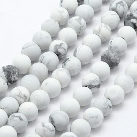 Natural Howlite Beads Strands G-F518-22-8mm-1