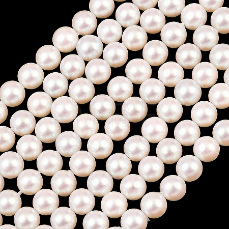 Electroplated Shell Pearl Beads Strands BSHE-C011-01A-1