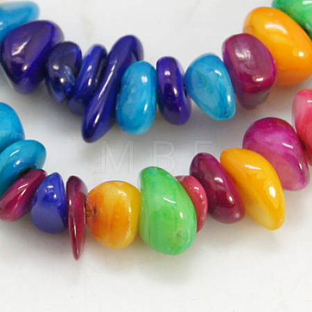 Natural Shell Beads Strands X-BSHE-D004-2-1