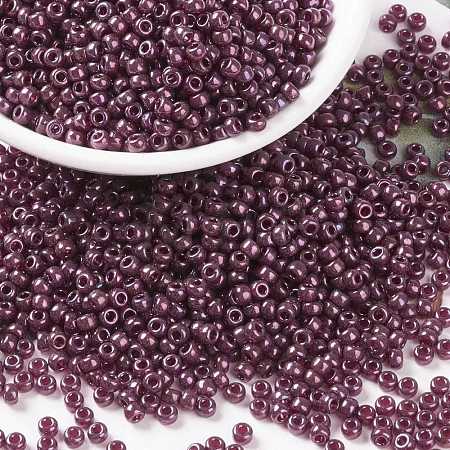 MIYUKI Round Rocailles Beads X-SEED-G008-RR0313-1