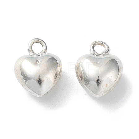 925 Sterling Silver Charms STER-H106-01C-S-1